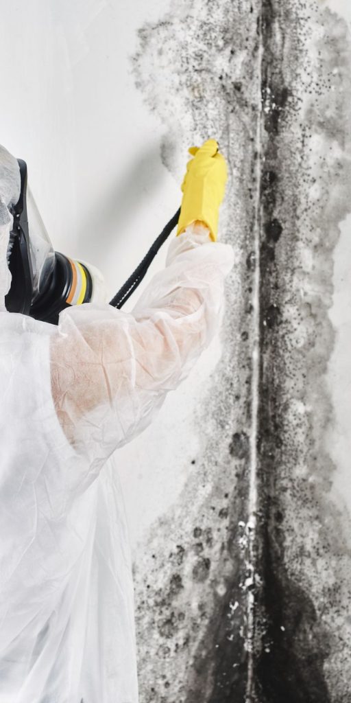 A man in a white coat and yellow gloves sprays mold treatment on a wall during a mold removal service in Fresno, CA.