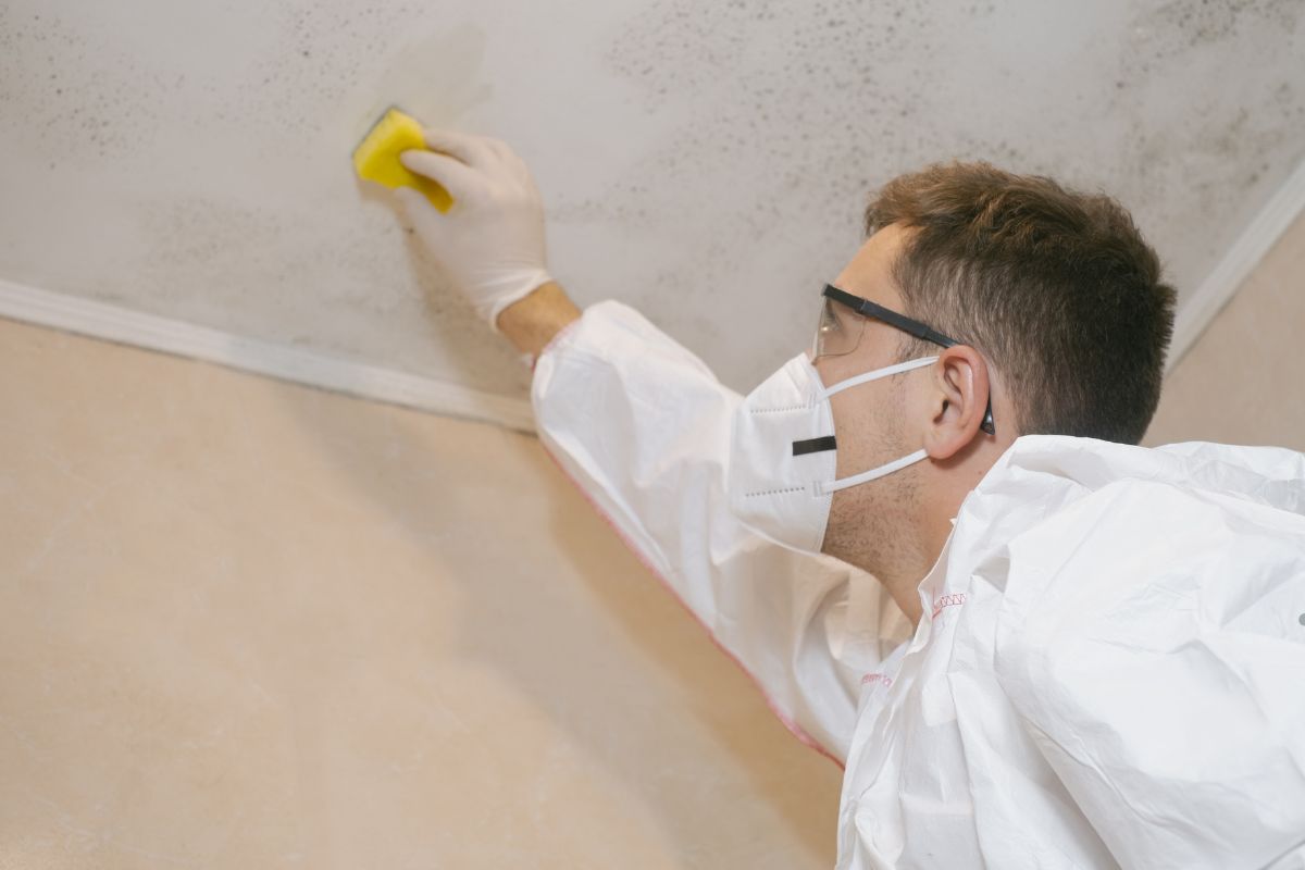 A man in a white coat and protective gear cleans a ceiling, addressing the presence of black mold in the environment.