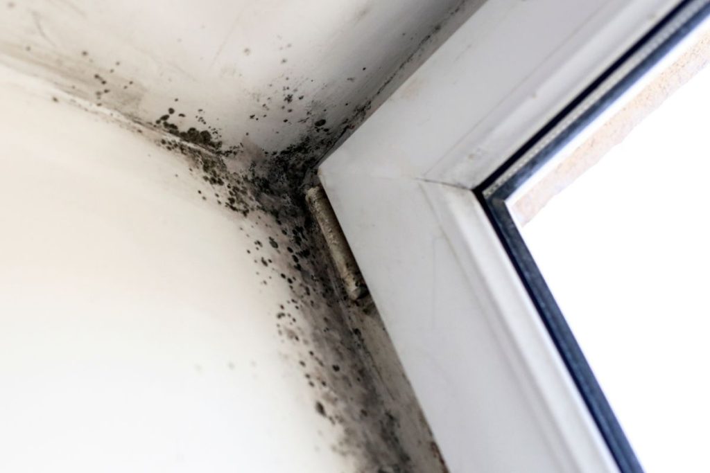 Mold growing on a window sill in a room, showing dark patches against the light-colored surface.