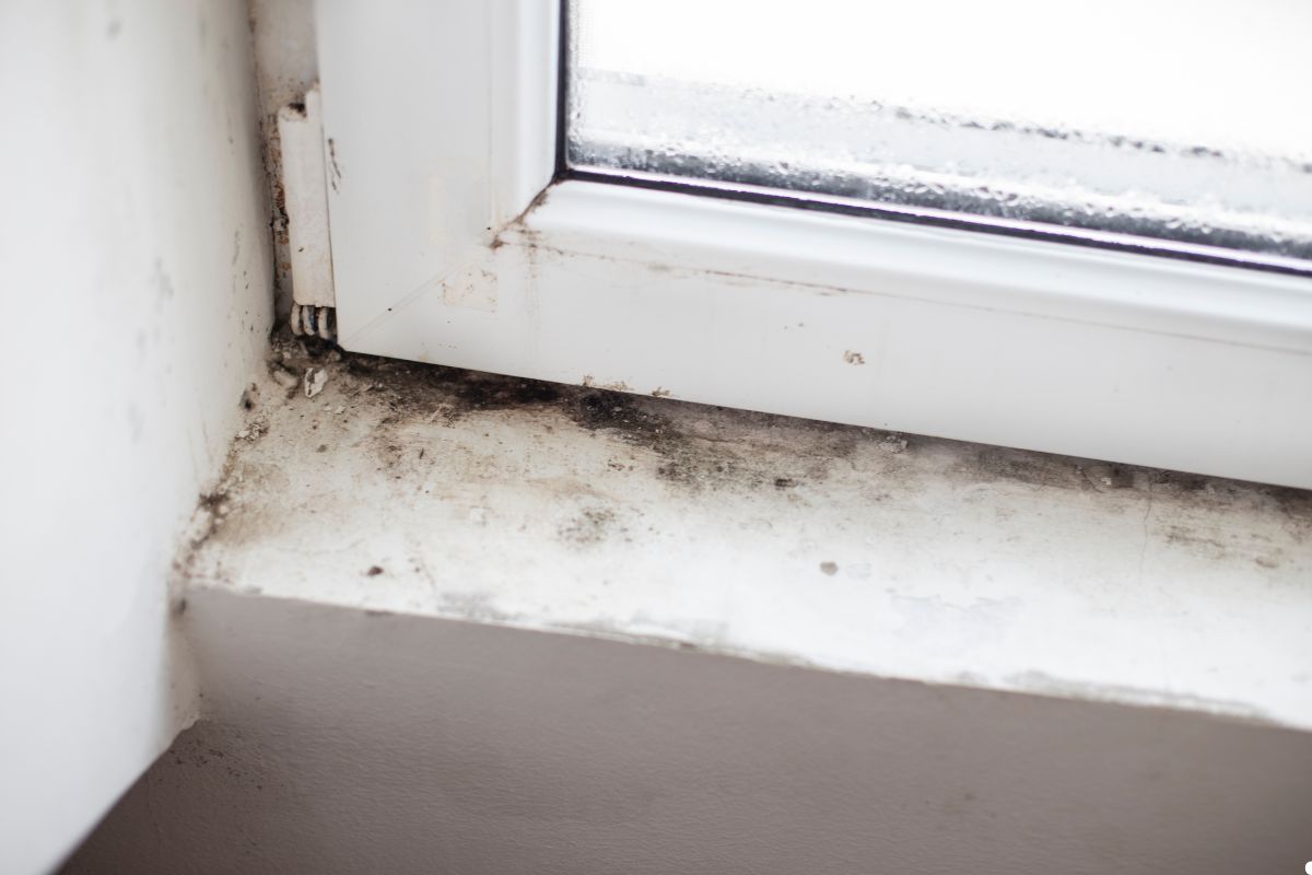 An instructional image showing methods for removing mold from windows, including necessary supplies and cleaning steps.