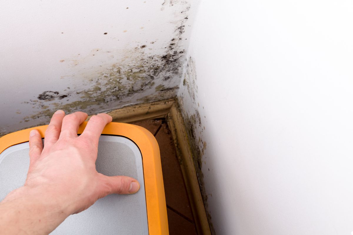 A person extends their hand towards a toilet seat covered in mold, highlighting unsanitary conditions.